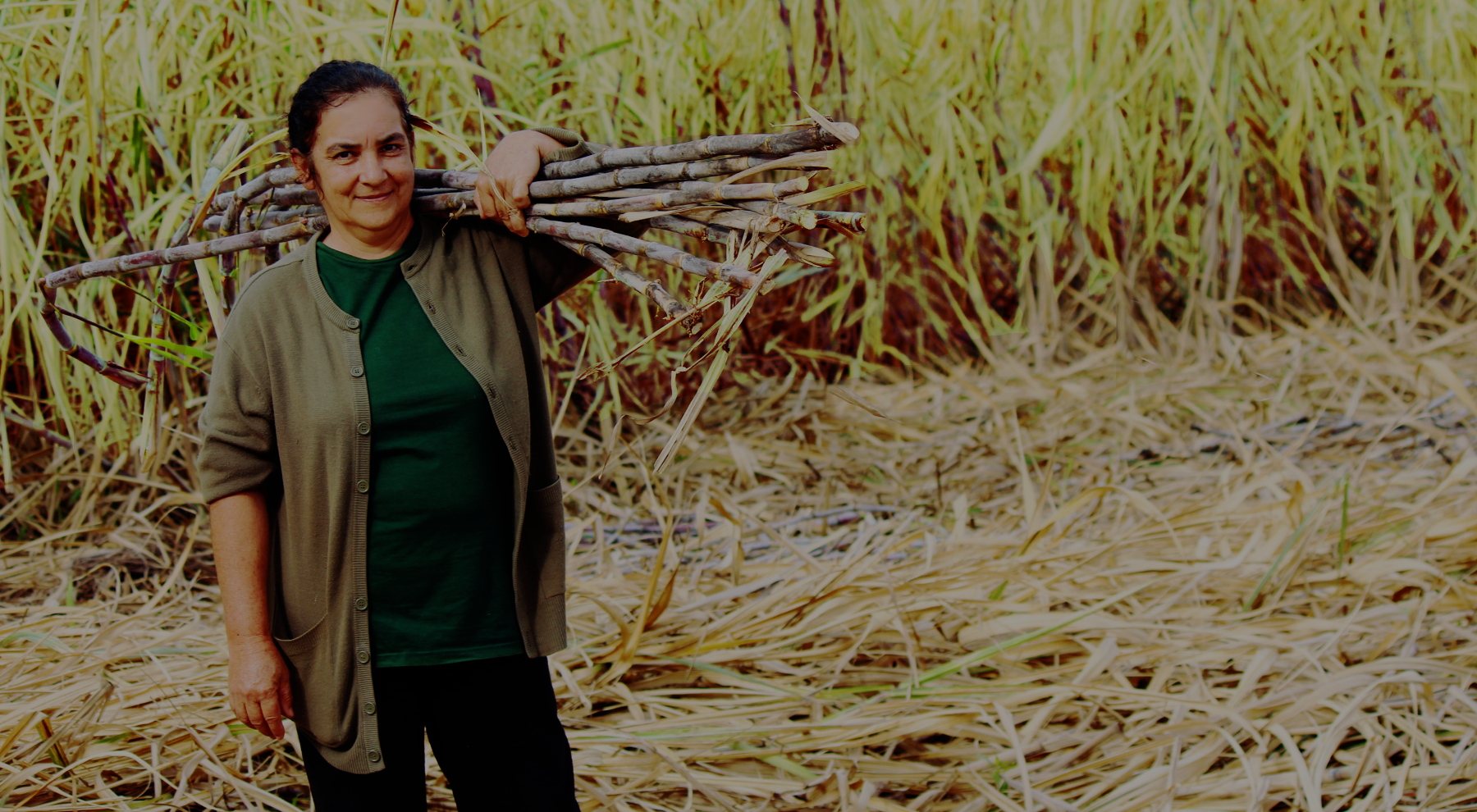Productores de la Cooperativa Manduvirá